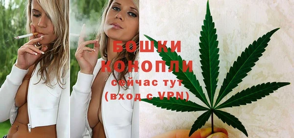 Альфа ПВП Магадан