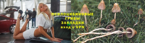 Альфа ПВП Магадан