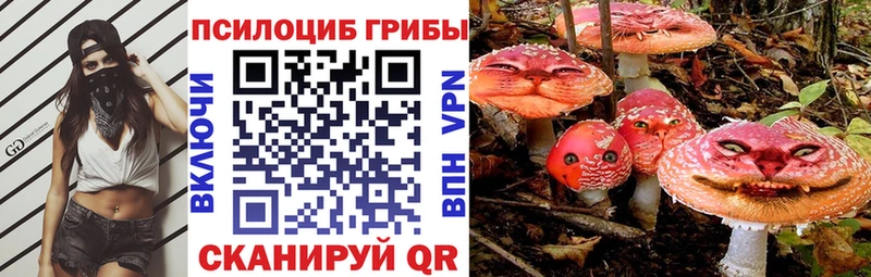 Галлюциногенные грибы Cubensis Сокол